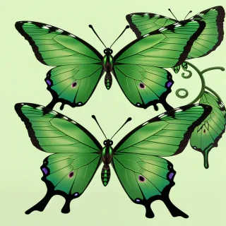 green butterfly png