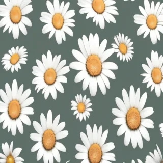 aesthetic daisy wallpaper