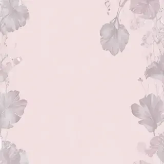aesthetic transparent background