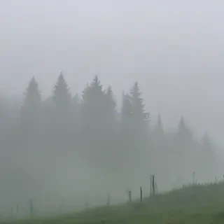 foggy background