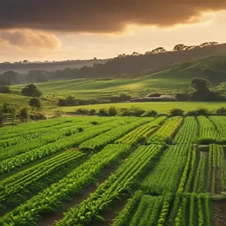 farmland png