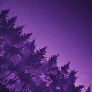 purple aesthetic wallpapers iphone