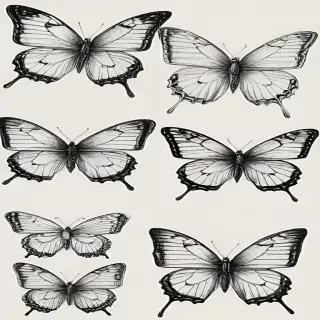 butterflies sketches