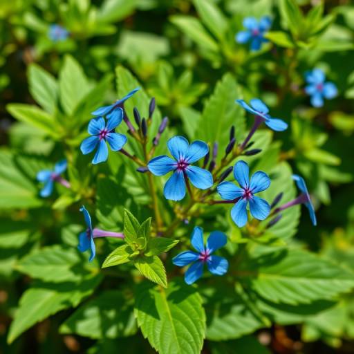 Generate a high-quality illustration of a plant with vibrant blue flowers and lush green leaves, captured with a Canon EOS 5D Mark IV, 50mm lens, f/2.8 aperture, ISO 100, in a bright daylight setting.