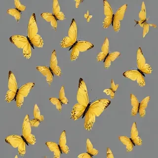 butter flies png