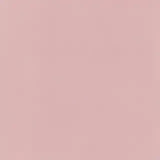 minimal aesthetic background