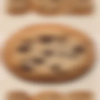 chocolate chip cookie png