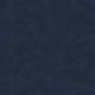 navy background