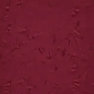 background burgundy
