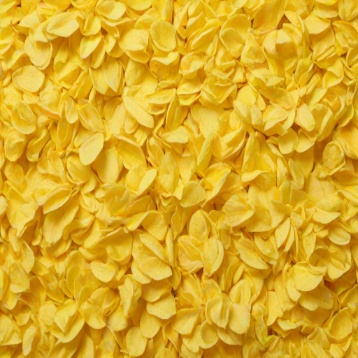 aesthetic yellow background