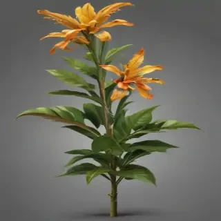 plant png clipart