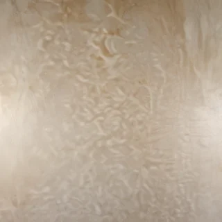 neutral background