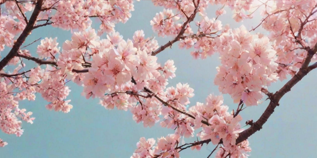 pretty wallpapers aesthetic