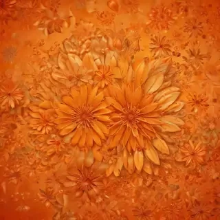 pretty orange backgrounds