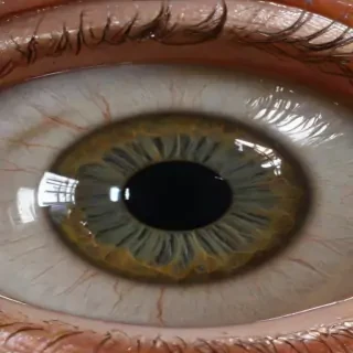 eyeballs png