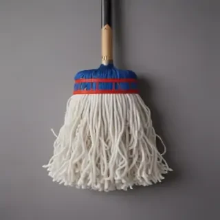 mop png