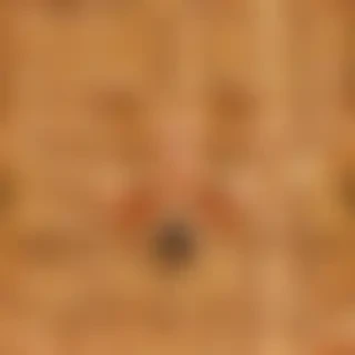 waffle png