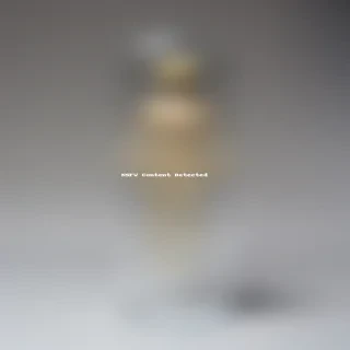 transparent chick