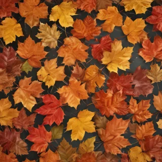 fall leaves aesthetic