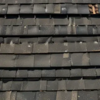 pictures of shingles