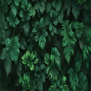 aesthetic green wallpapers