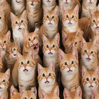 funny cat backgrounds
