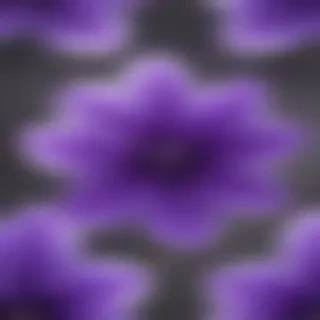 transparent purple flower