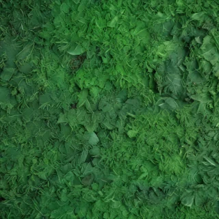 background green texture