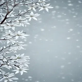 january background