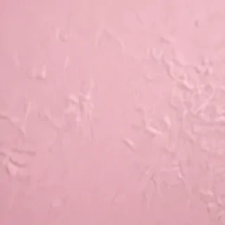 light pink plain background