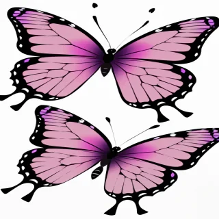 purple butterfly clipart