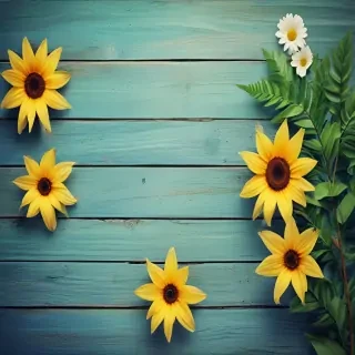 summer background