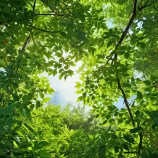 background with green leaves