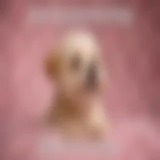 images of thank god its friday