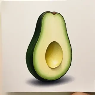 avocado drawing