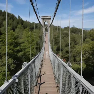 suspension bridge
