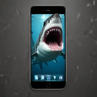 shark iphone wallpaper