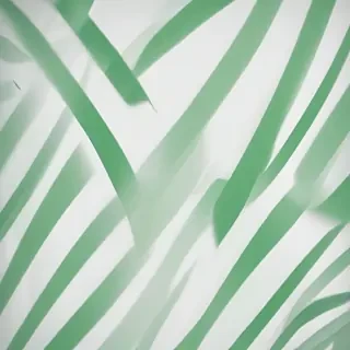 background white and green
