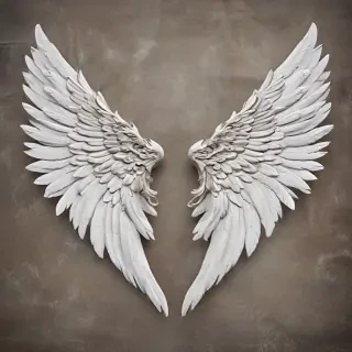 angel wing images