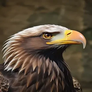 eagle background