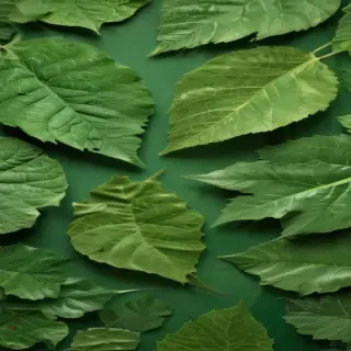 green leaf design