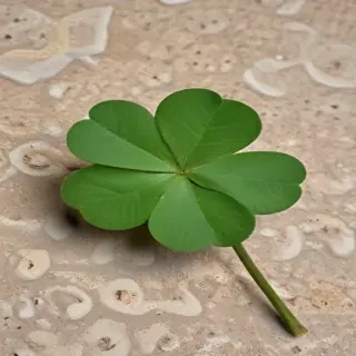 4 leaf clover