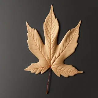 fall leaf png