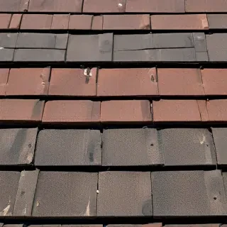 picture of shingles
