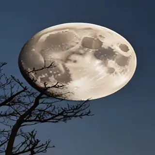 moon frawing