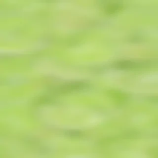 lime green background