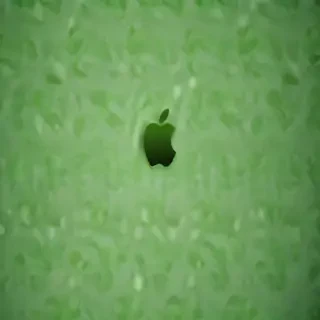 iphone green wallpaper