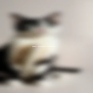 wallpaper cat images