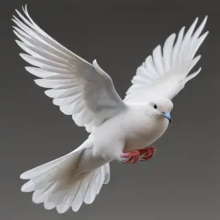 dove png