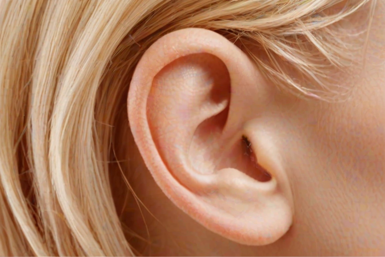 ears png